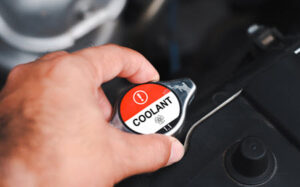 BMW E46 3 Series Coolant Level Check